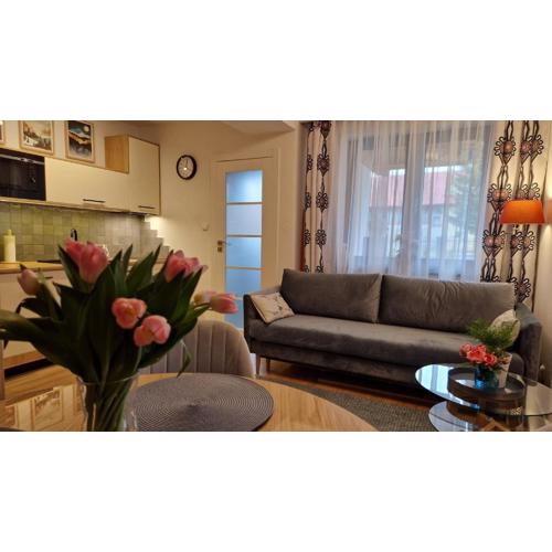 Apartament Czarna Owca - Grapa SUN & SNOW 667-494-631