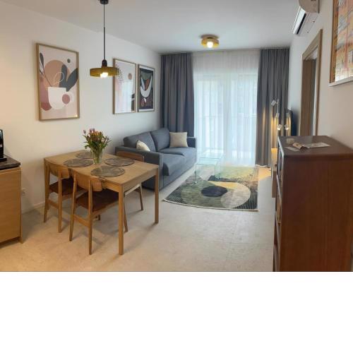 Apartament Czysta