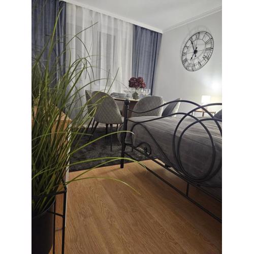 Apartament Diselvio