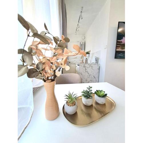Apartament Dominikanski