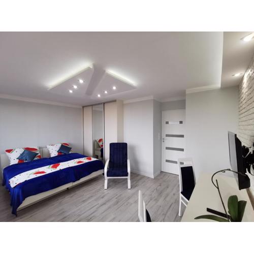 Apartament D&T City Center View