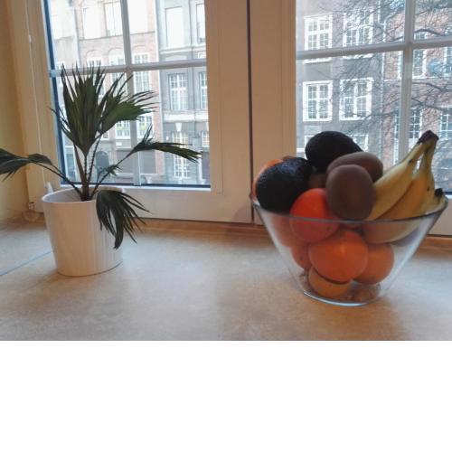 Apartament Ducha 3