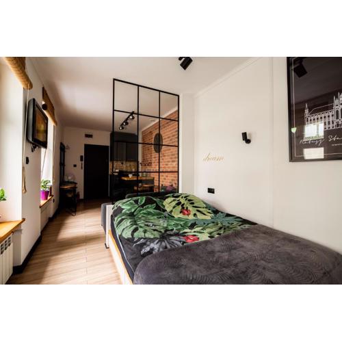 Apartament Ducha N°9
