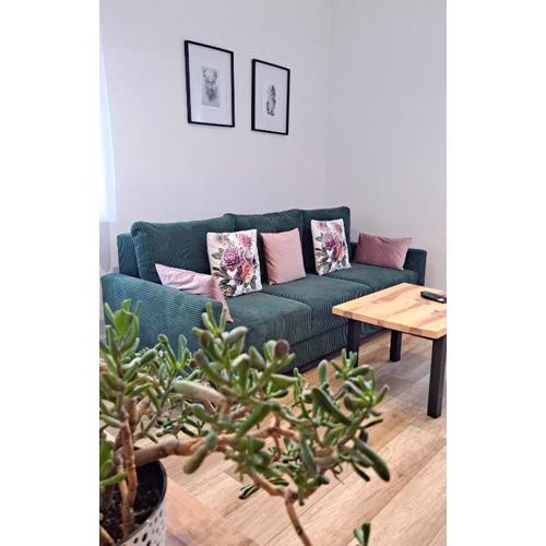 Apartament dzika róża