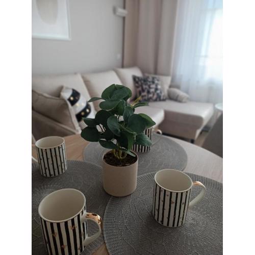 Apartament Emili VIPOO