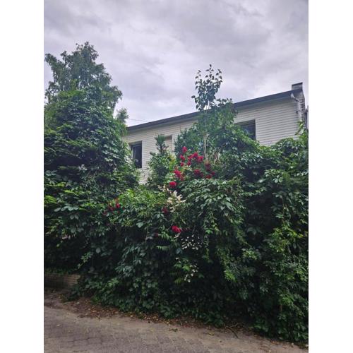 Apartament Ewa Gdynia Orłowo