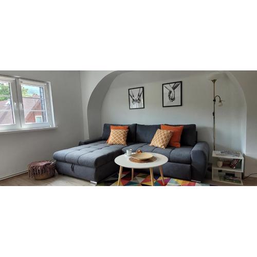 Apartament Fanaberia