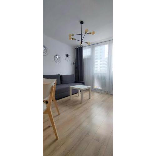 Apartament FERVOR JP no 2