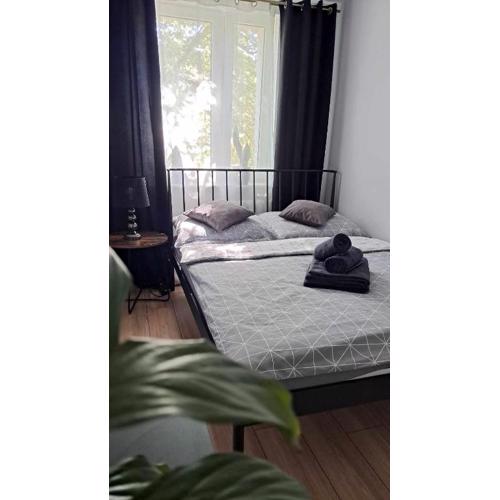 APARTAMENT FLOWERS - KIELCE