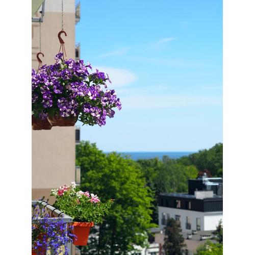 Apartament Gabi by the Sea