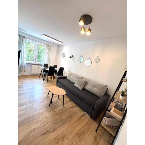 Apartament Gallusa