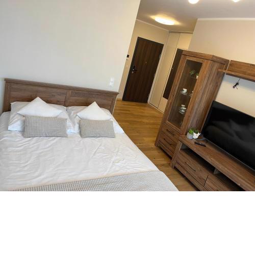 Apartament Garbary 234