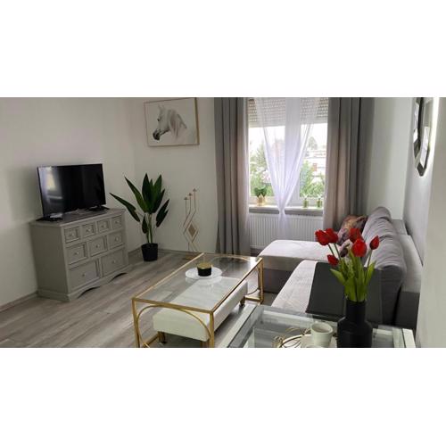 Apartament Gdańska 230
