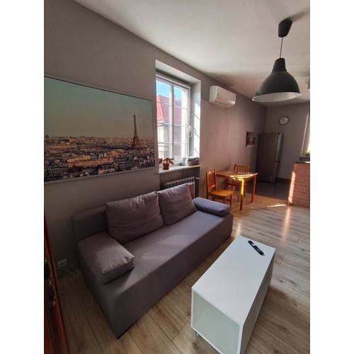 Apartament Gliwice Centrum plus Parking