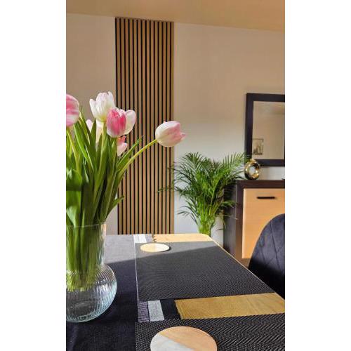 Apartament GOLD blisko Wawelu