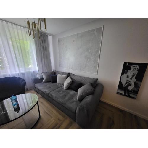 Apartament Gold Centrum