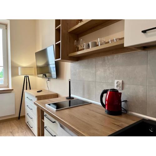 Apartament Górna 20