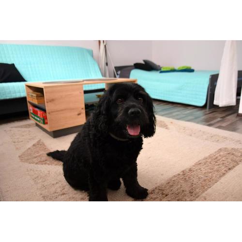 Apartament Górnicza w Kowarach
