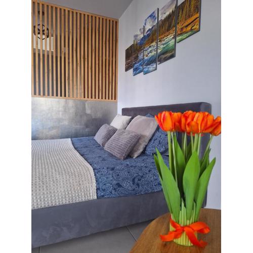 Apartament Górska Szarotka