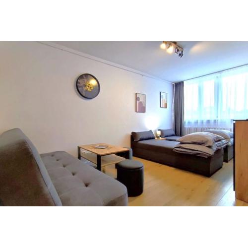 Apartament Górski Widok