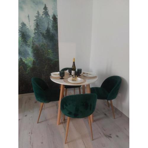 Apartament Górskie Zacisze