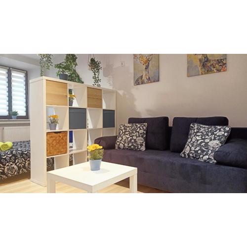 Apartament Granatowy Świętoduska 12