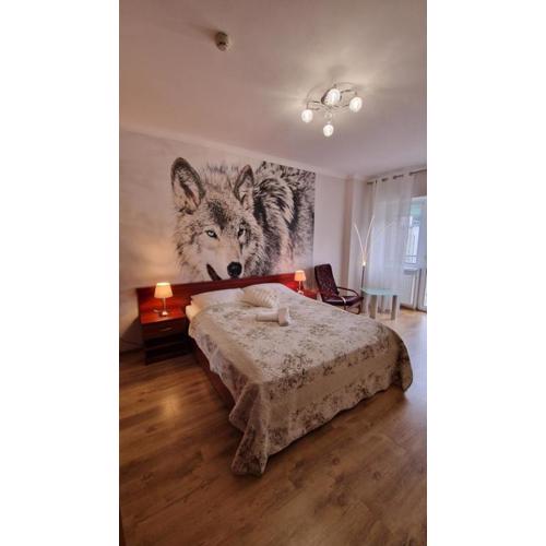 Apartament Gwiazda 207