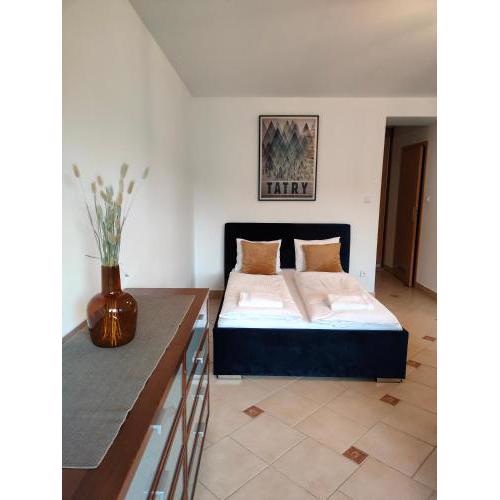 Apartament Holny