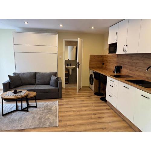 Apartament i Pokoje Gościnne u Lusi - BASEN z podgrzewaną wodą i zadaszeniem