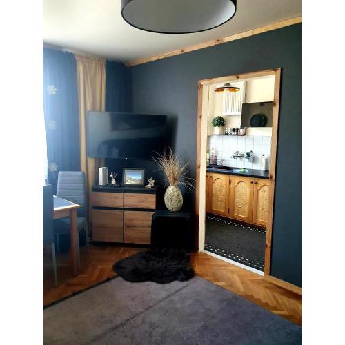Apartament IZBA W CENTRUM