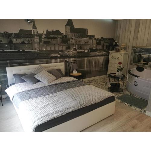 Apartament jacuzzi na toruńskiej starówce