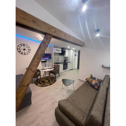 Apartament Jagiełło City Center