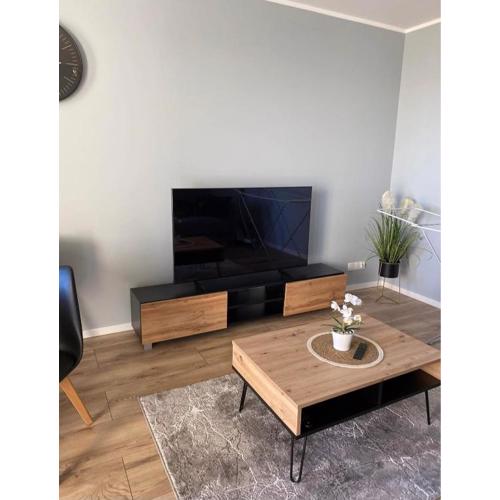 Apartament Jagielloński