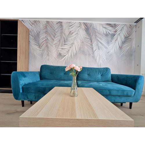 Apartament Janowicza 24