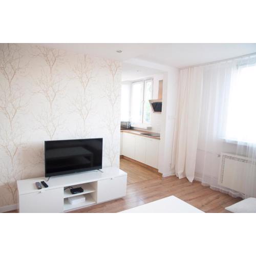 Apartament Jawa