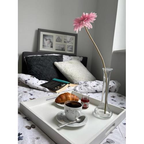 Apartament Jedlinka