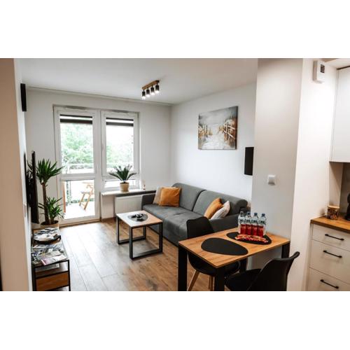 Apartament Jemiołuszki
