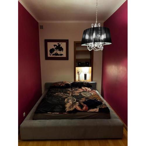 Apartament Jeżyce Polna