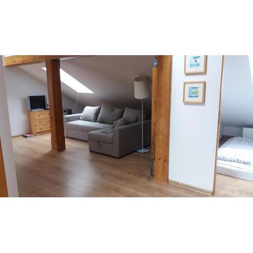 Apartament Karpielówka