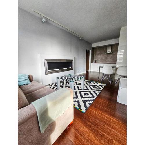 Apartament Katowice Park Śląski