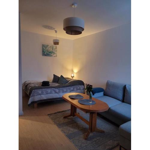 Apartament-Kawalerka