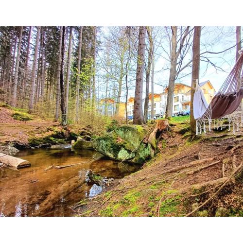 Apartament Kilińskiego 17A/9
