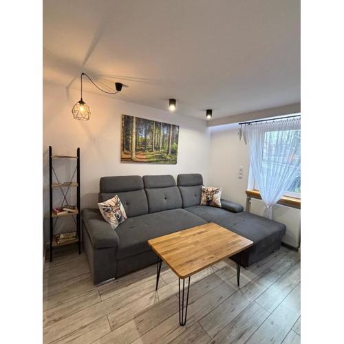 Apartament Klimatyczny z kominkiem