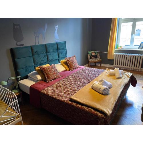 Apartament Koci Łeb