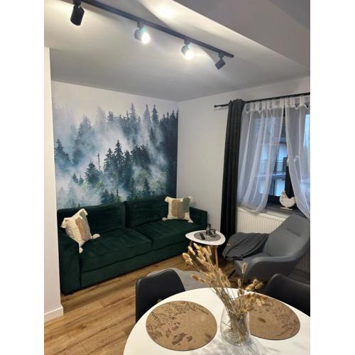 Apartament Koko Białka Tatrzańska