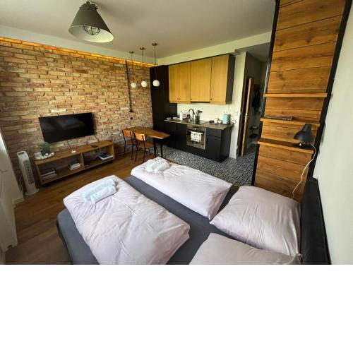 Apartament KOŁO parku