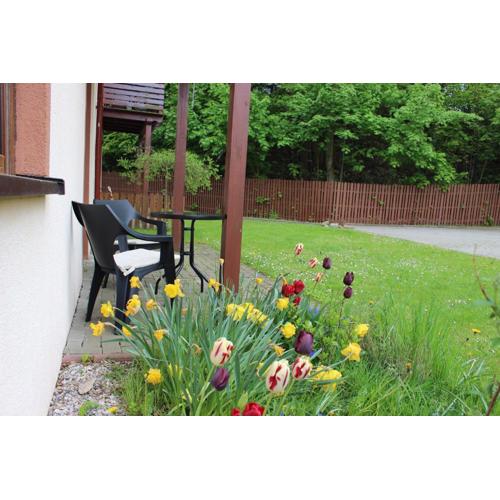 Apartament Kolorowy pod Śnieżką