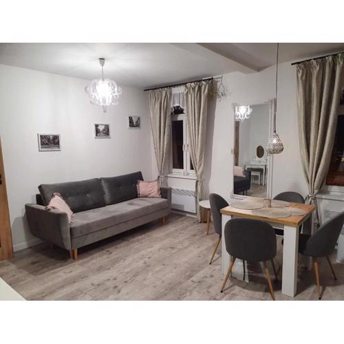 Apartament Kominkowy przy Parku