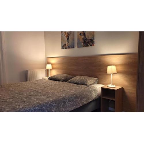 Apartament Korczaka 6