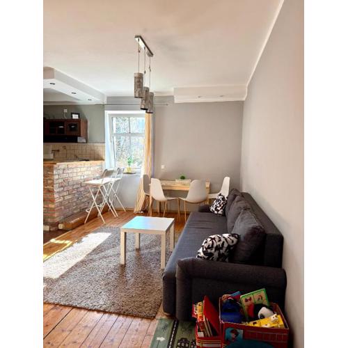 Apartament Krasińskiego 5 - Park